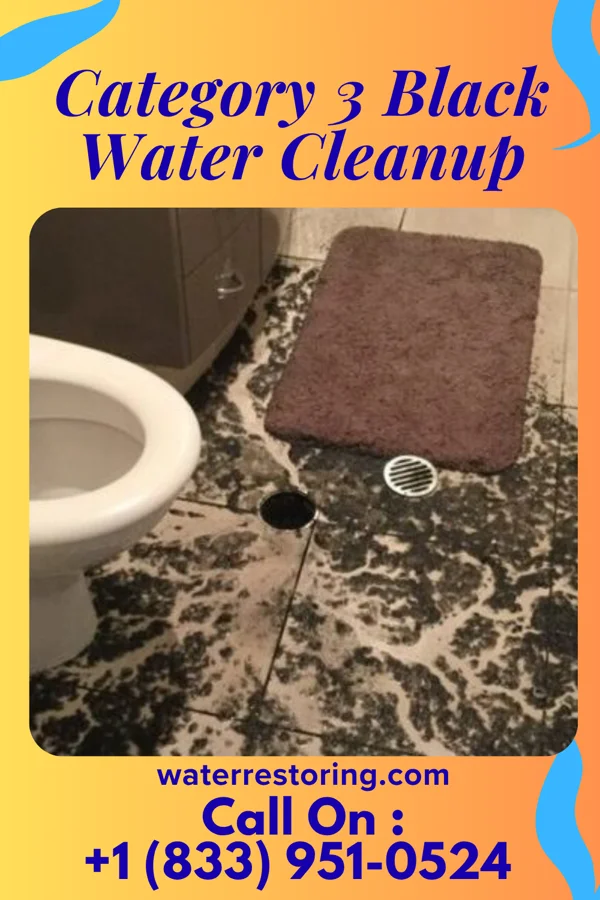 Category 3 Black Water Cleanup in Hanley Falls, MN