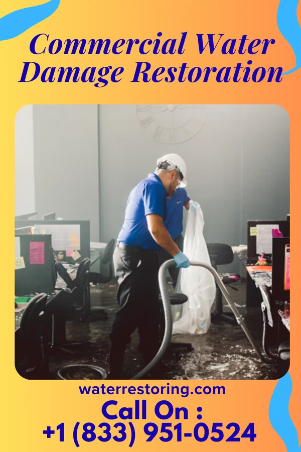 Commercial Water Damage Restoration in Hanley Falls, MN