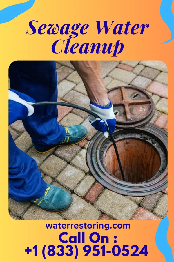 Sewage Water Cleanup in Hanley Falls, MN